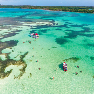 Glass Bottom Boat Tours