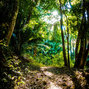 Unique Nature Trails