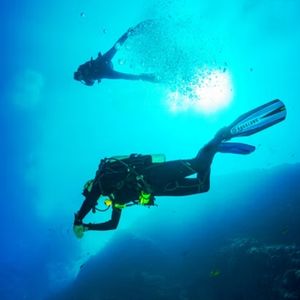 Untouched reefs and Marine Life