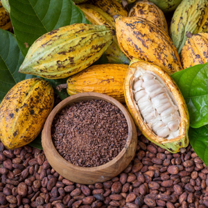All cocoa grown in Tobago