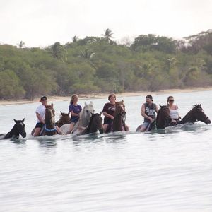 Horseback riding in the sea