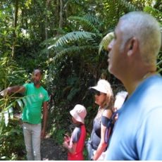 Tour guide in a green shirt explaining plants to a group of children and adults in a dense forest setting.