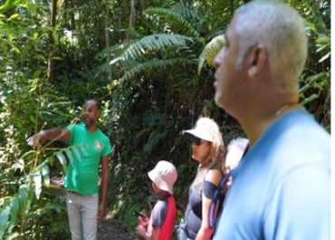Tour guide in a green shirt explaining plants to a group of children and adults in a dense forest setting