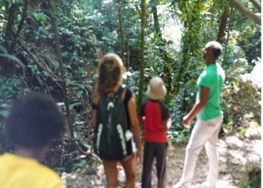 Group of four people walking along a sunlit forest path seen from behind backpacks and hats are visible