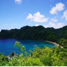Tropical cove with turquoise water, sandy beach, and dense green hills under a blue sky.
