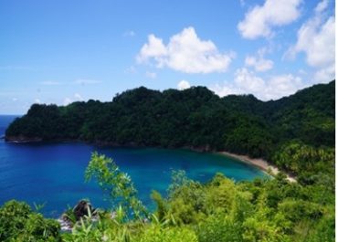 Tropical cove with turquoise water sandy beach and dense green hills under a blue sky